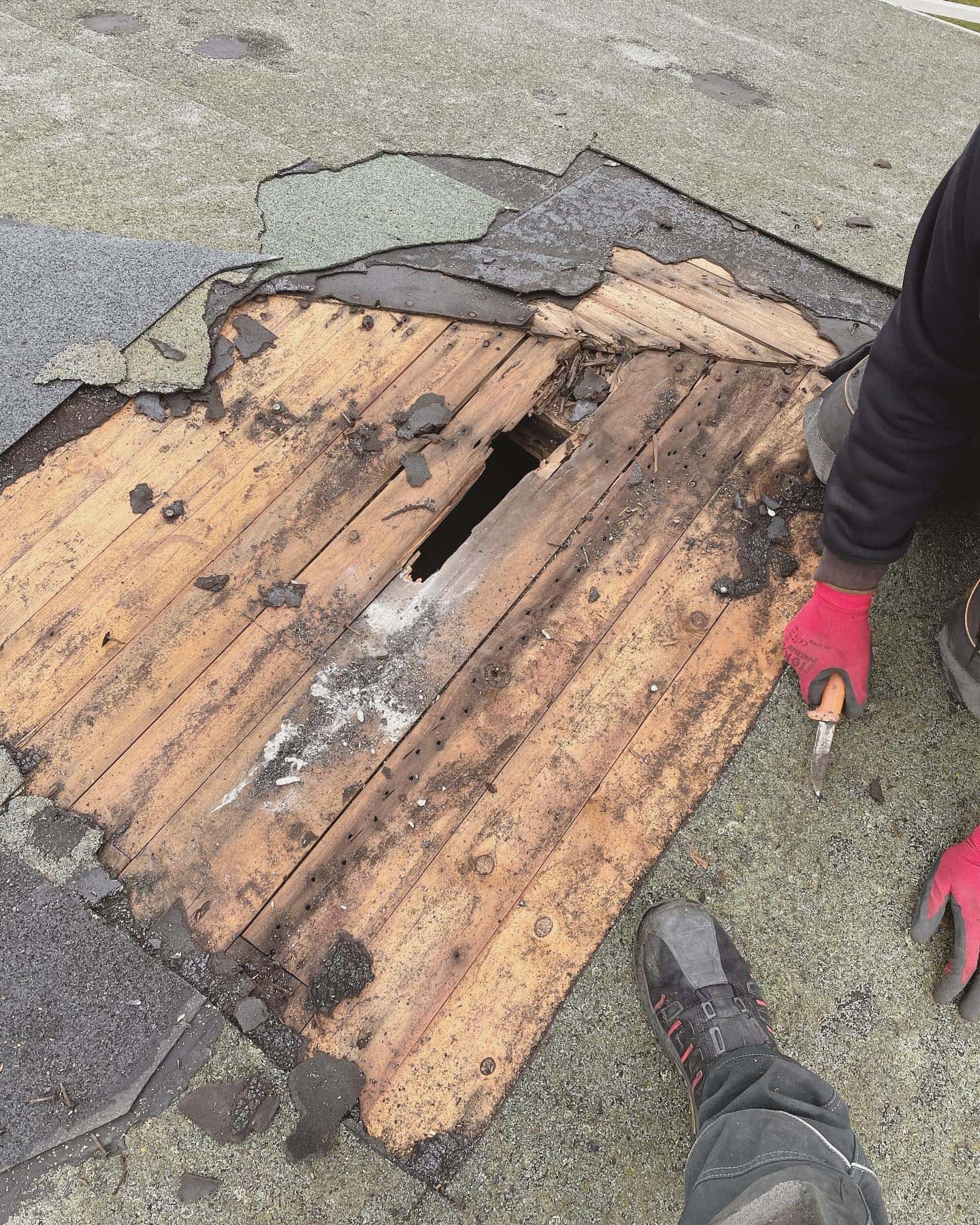 Reparation av ruttet undertak